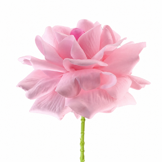 Valentine Rose Light Pink