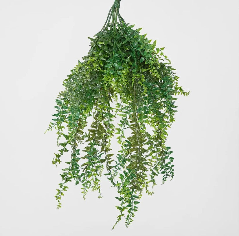 Hanging Bakers Fern S2650GRN