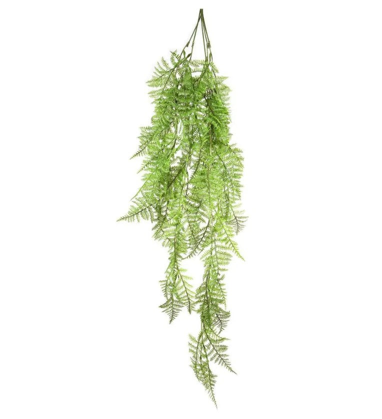 Boston Fern Hanging 1.1m F204