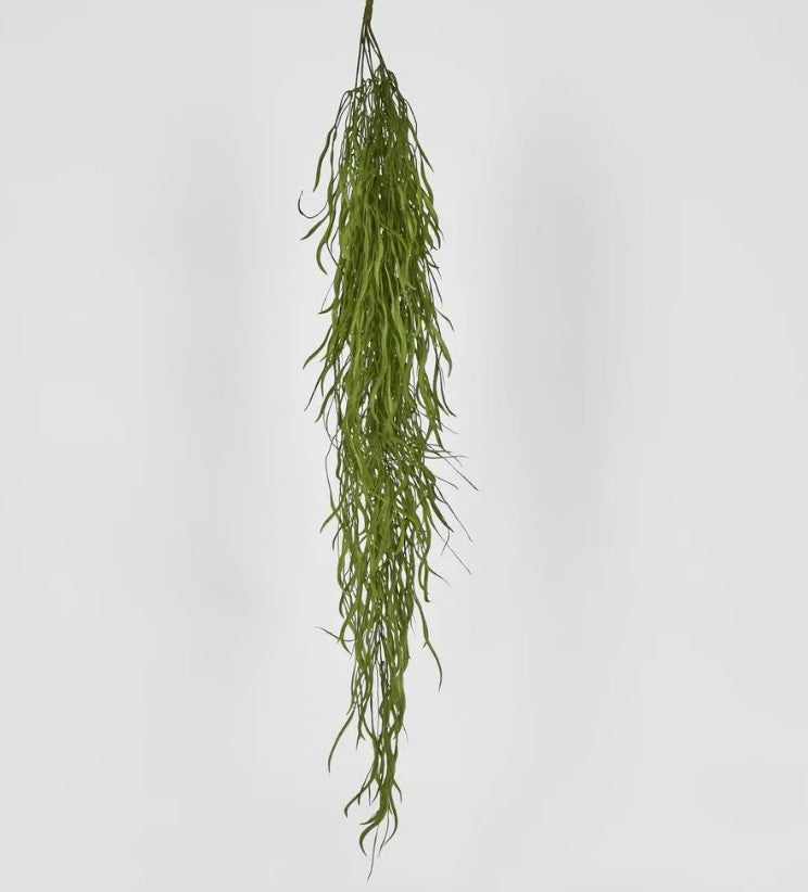 Hanging Grass Vine V117