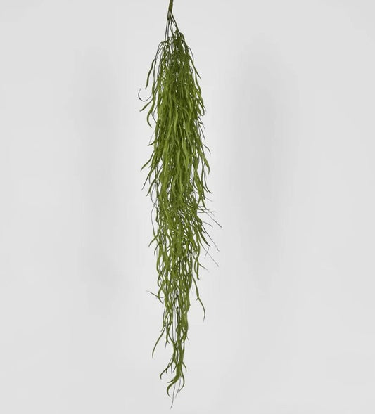Hanging Grass Vine V117