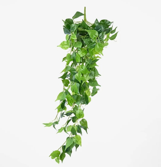 Hanging Pothos Spray JMCS91248