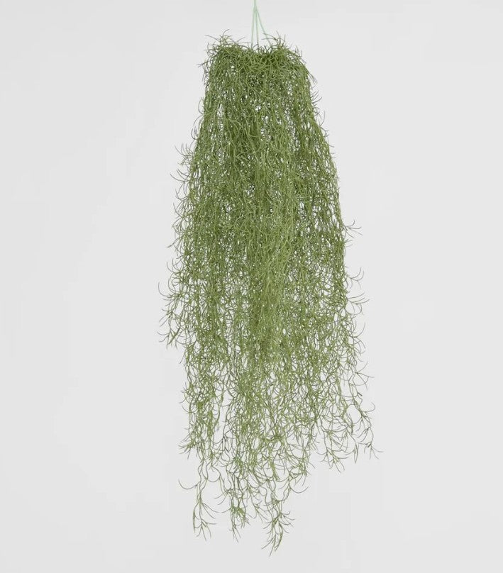 Hanging Spanish Moss Dark Green JMCS91654